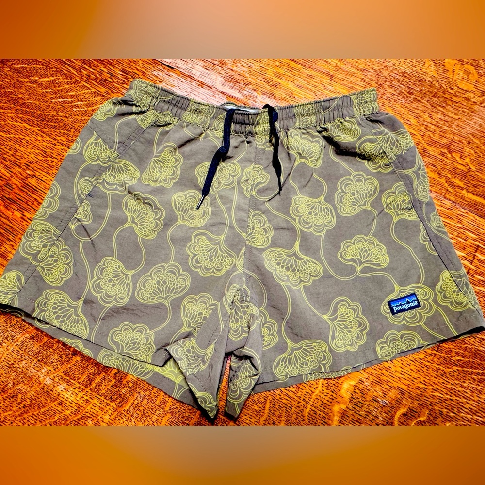 Patagonia Baggies Shorts 5” Size Small Blue Green